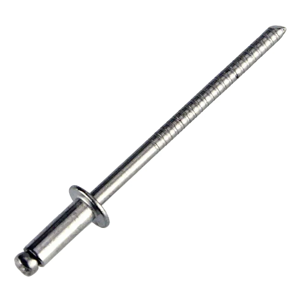 Stainless Steel 3mm Dome Head Rivets Pack Of 50