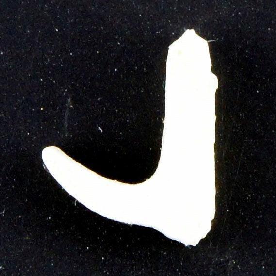 White Neoprene Self Adhesive Leaf Seal Per Metre - Image 4